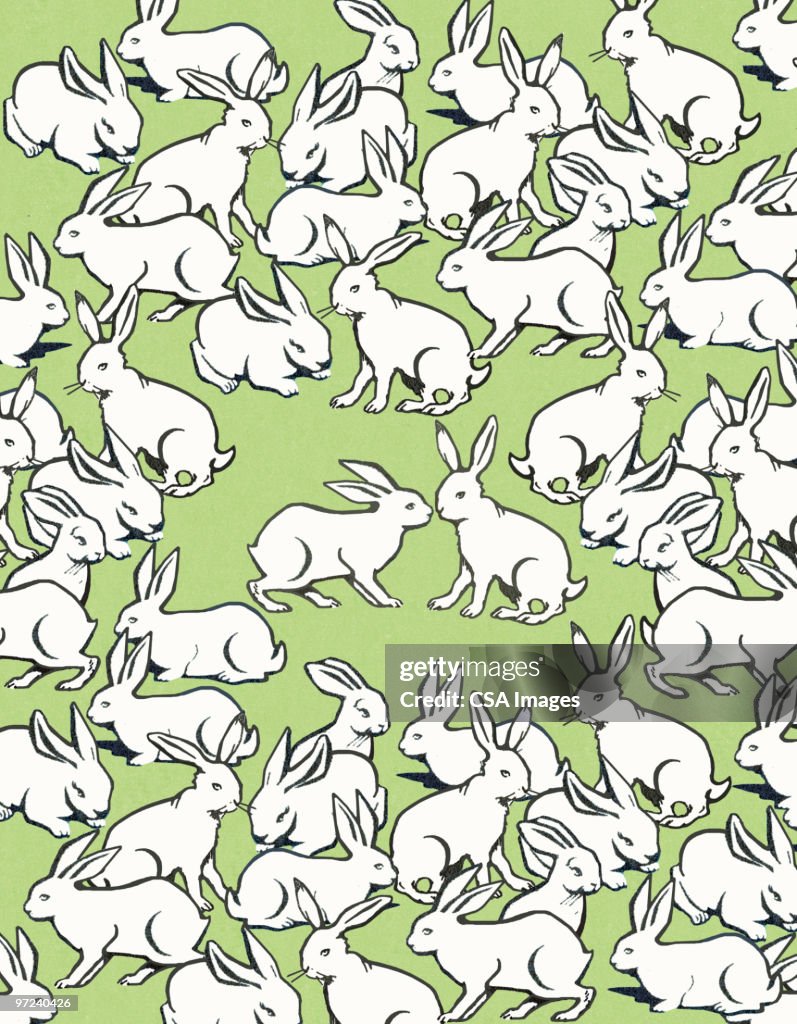 Graphic Rabbit Image Rabbits High-Res Vector Graphic - Getty Images