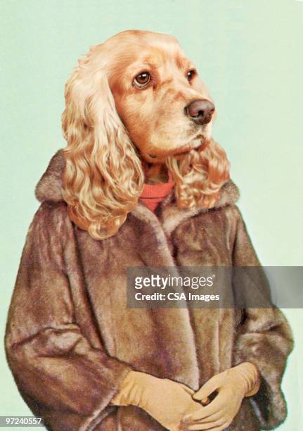 women with dog head - fashion illustration stock illustrations
