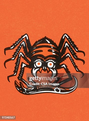 Spider Spider