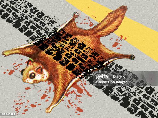 squirrel roadkill - graphic accident photos stock illustrations