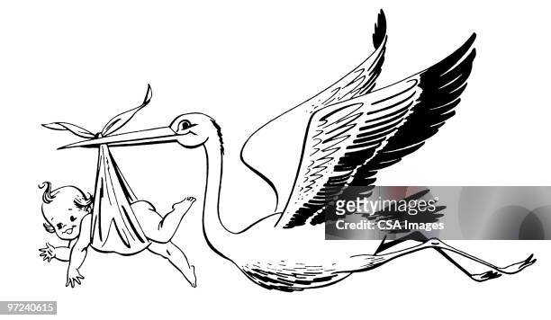 stockillustraties, clipart, cartoons en iconen met stork with baby - stork