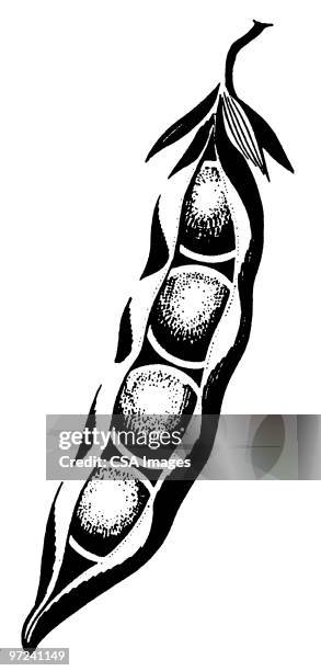 peas in a pod - pea pod stock illustrations