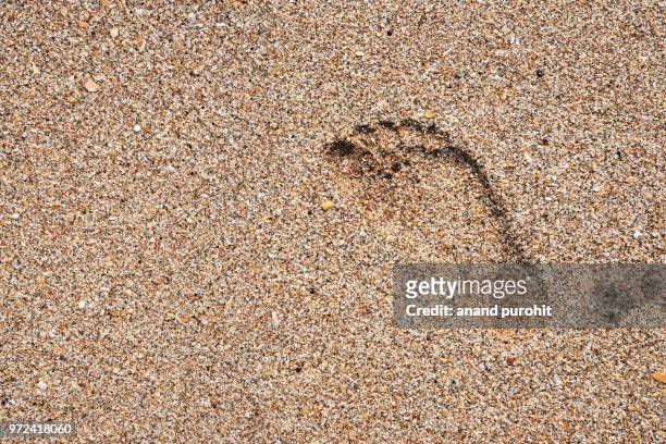 footprints on beach sand - indian female feet foto e immagini stock