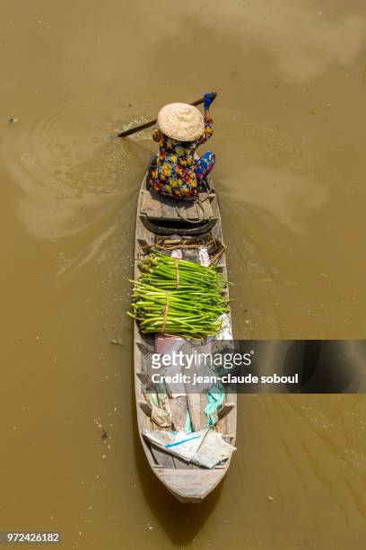 boat of a peasant woman in can tho province (vietnam) - can tho province stock-fotos und bilder