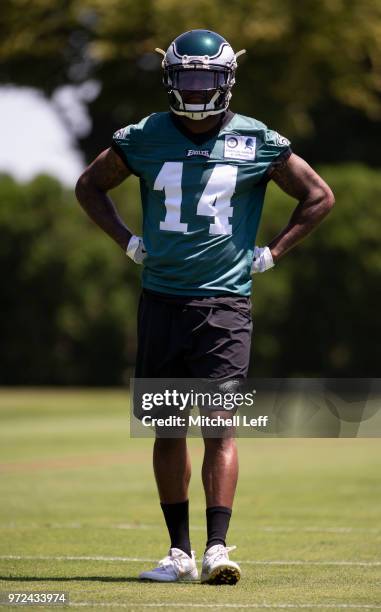 Mike Wallace of the Philadelphia Eagles looks on during Eagles minicamp at the NovaCare Complex on June 12, 2018 in Philadelphia, Pennsylvania.