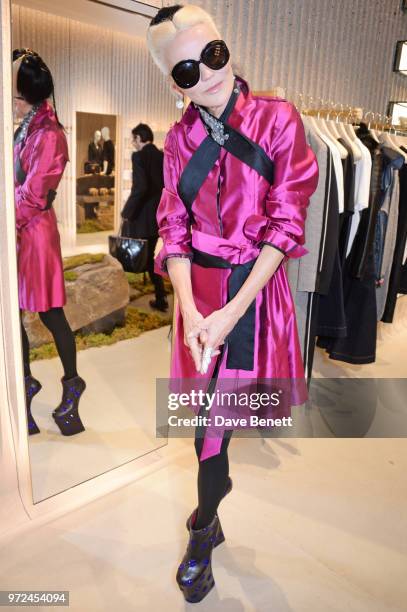 Daphne Guinness attends the launch of the Stella McCartney Global flagship store on Old Bond Street on June 12, 2018 in London, England.