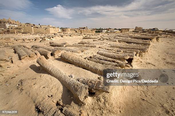 siwan cemetery, fortress of shali, siwa oasis, egypt - desierto libio fotografías e imágenes de stock