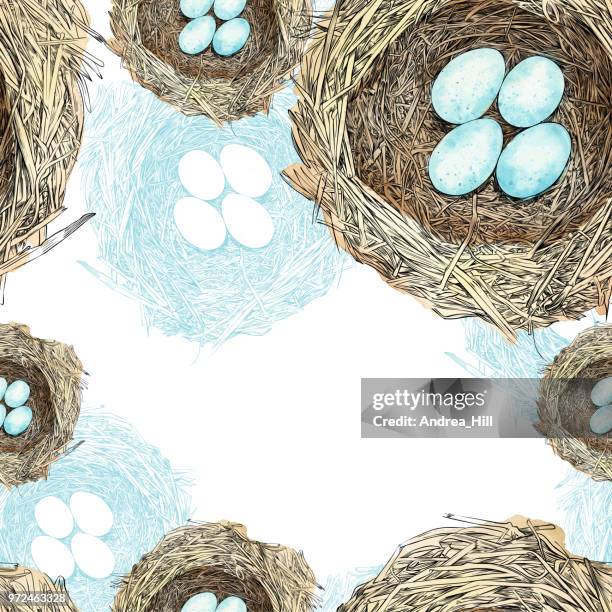 bird nest with eggs pen and ink vector seamless pattern - spring background top view stock illustrations