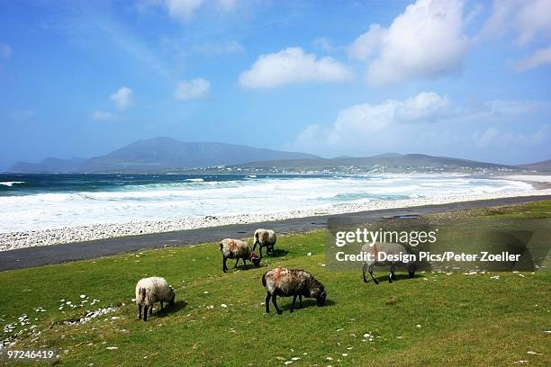 keel, achill island, county mayo, ireland - quilha - fotografias e filmes do acervo