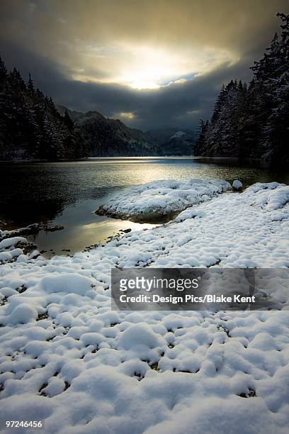 fresh snowfall in the mountains - lake whatcom bildbanksfoton och bilder