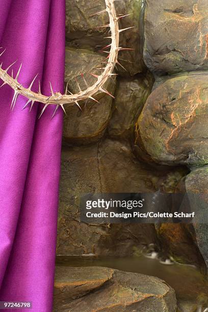 purple cloth and crown of thorns - crown of thorns - fotografias e filmes do acervo