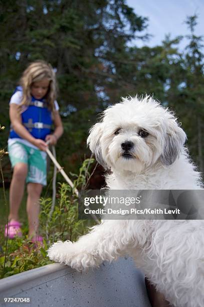 lake of the woods, lulu, ontario, canada - lake of the woods stock pictures, royalty-free photos & images