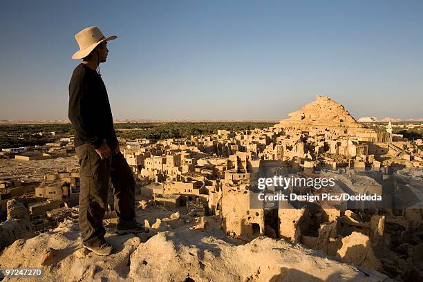 man looking out at the fortress of shali, siwa oasis, egypt - desierto libio fotografías e imágenes de stock