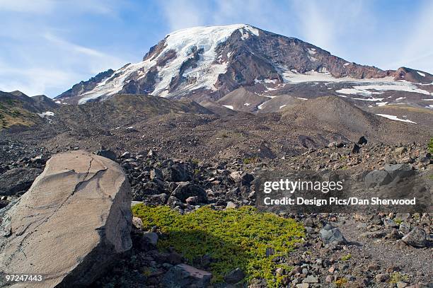 mount adams, mount adams wilderness, washington, usa - dan peak stock pictures, royalty-free photos & images