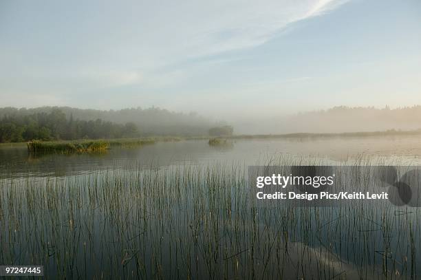 lake of the woods, ontario, canada - lake of the woods foto e immagini stock