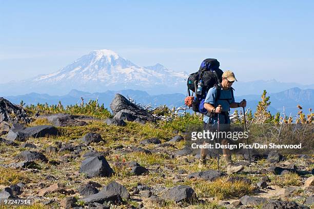 backpacker in front of mount rainier - dan peak stock pictures, royalty-free photos & images