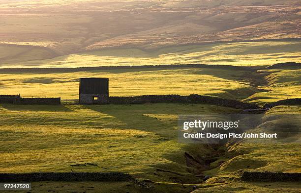 stone building and walls, weardale, england - weardale bildbanksfoton och bilder