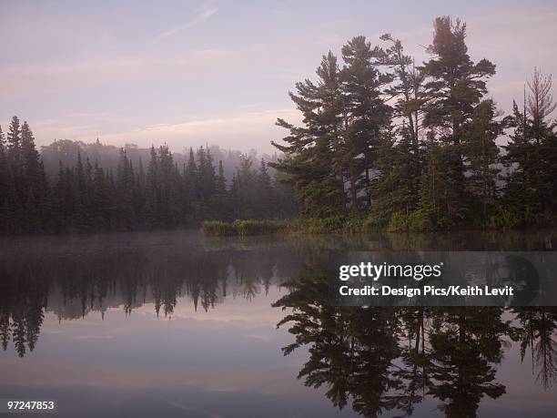 lake of the woods, ontario, canada - lake of the woods stock pictures, royalty-free photos & images