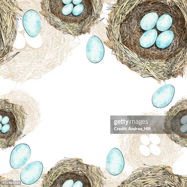 bird nest with eggs pen and ink vector seamless pattern - spring background top view stock illustrations