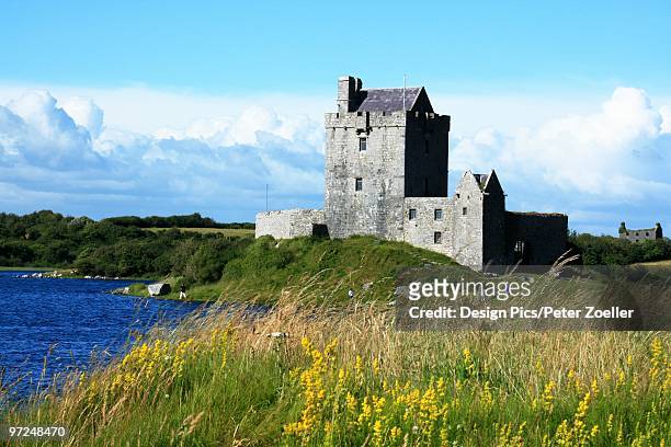 dunguaire castle, kinvara, county galway, ireland - kinvara stock pictures, royalty-free photos & images