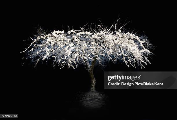 snow-covered tree at night - kent washington state stock pictures, royalty-free photos & images