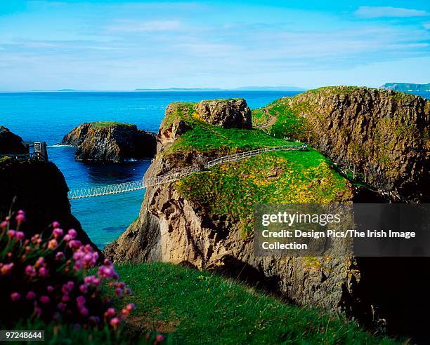 carrick-a-rede rope bridge, carrick island, county antrim, ireland - rede stock pictures, royalty-free photos & images