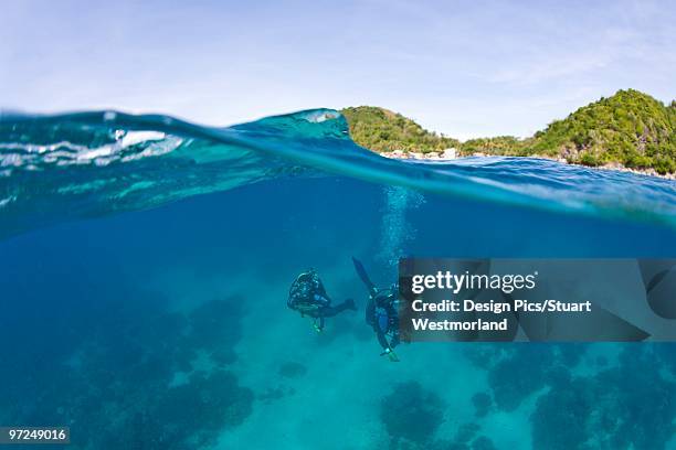 scuba divers - negros oriental stock pictures, royalty-free photos & images