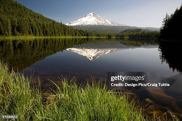 mountain reflected in trillium lake, mount hood national forest, oregon, united states of america - mt hood national forest fotografías e imágenes de stock