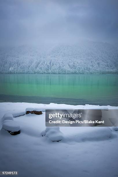 fresh snowfall - lake whatcom bildbanksfoton och bilder