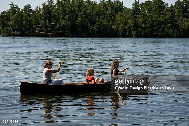 lake of the woods, ontario, canada - lake of the woods foto e immagini stock