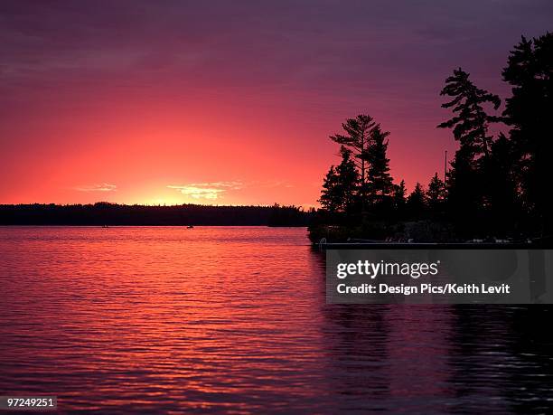 lake of the woods, ontario, canada - lake of the woods foto e immagini stock