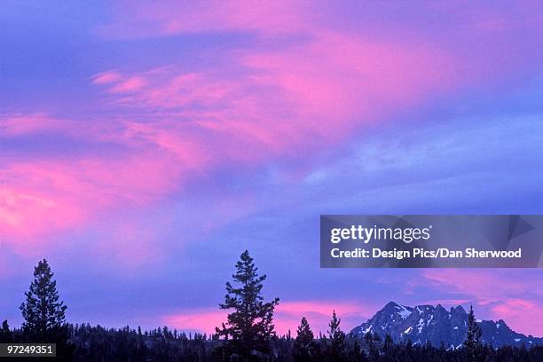 ansel adams wilderness, california, usa - wildnisgebiet ansel adams stock-fotos und bilder