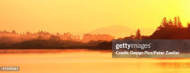 oysterbed, county kerry, ireland, near sneem - sneem stock pictures, royalty-free photos & images