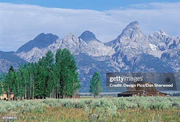 grand teton national park, wyoming, usa - dan peak stock pictures, royalty-free photos & images