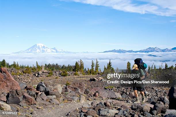 hiker walking through avalanche valley camp - dan peak stock pictures, royalty-free photos & images