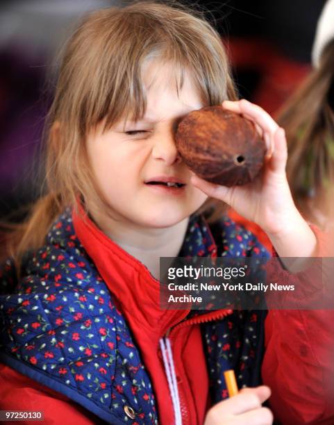Anna Zheglova of PS 81 in Riverdale looks through a cacao pod during Chocolate and Vanilla Adventures for children to learn plant origins at the...
