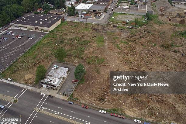 Healthy trees are cut down before construction on Co-Op City Blvd.