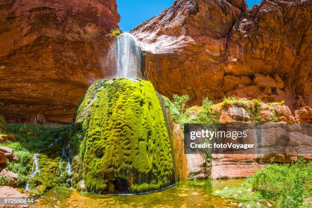 grand canyon ribbon falls green oasis on kaibab trail arizona - grand canyon rock formation stock pictures, royalty-free photos & images