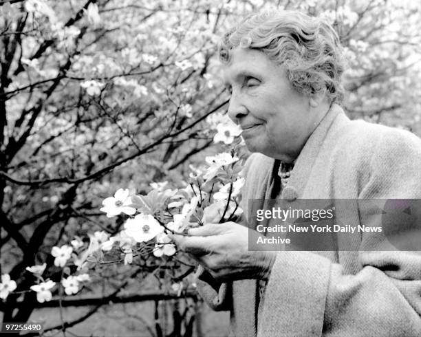 Helen Keller on her four-acre estate, "Arcan Ridge," near Westport, Conn. Dogwood blooms again, and Miss Keller spends a quiet moment in her garden.