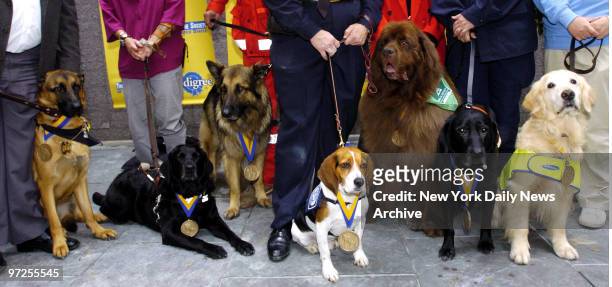 Hero dogs are saluted at a Canine World Heroes Tribute, part of the Pedigree Paws to Recognize program, at the Rockefeller Mini-Park at Sixth Ave....
