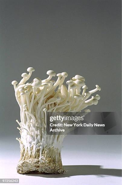 Enoki mushroom