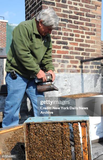 Bee keeper David Graves tends to the roof top bee hives on Peter Hoffman's East Village home.,