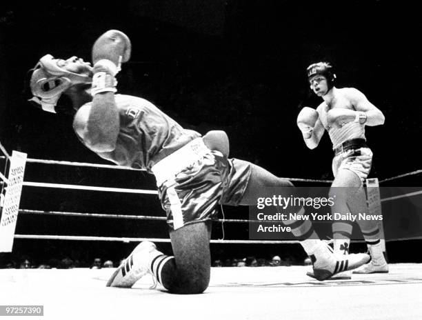Chris Reid drops opponent Richard Brent in Golden Gloves finals at Madison Square Garden.