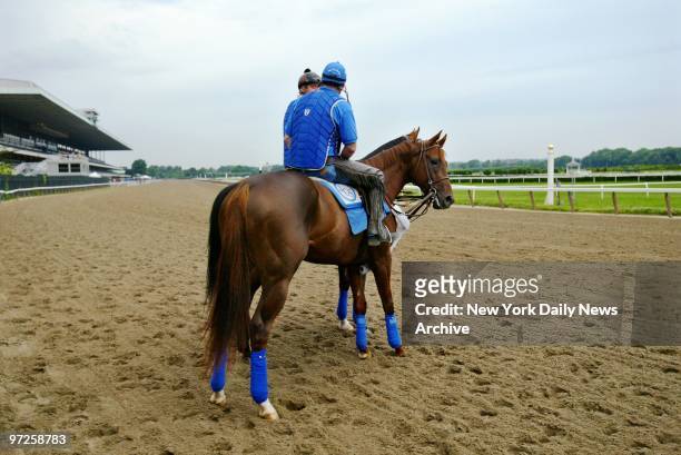 Exercise rider Peter Van Trump takes Smarty Jones out for a morning gallop at Belmont Park in preparation for Saturday's running of the Belmont...