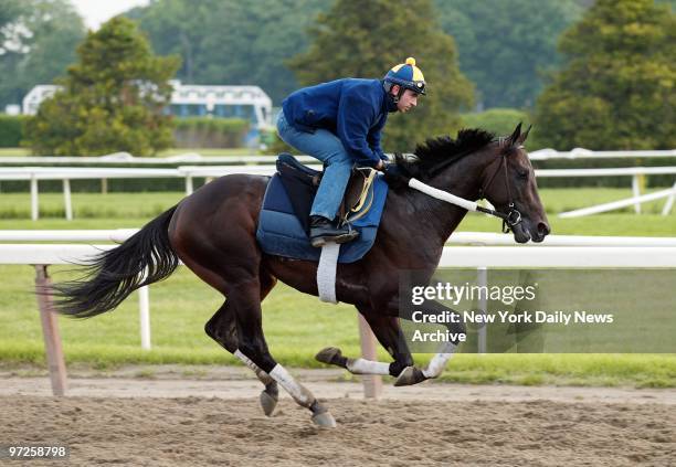 Exersize rider Christophe Lorieul takes Dynever out for a run at Belmont Park. Saturday, the horse will be one of the challengers to favorite Funny...
