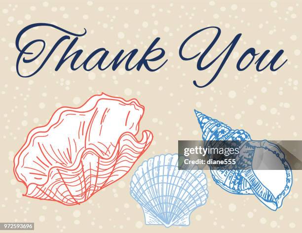 seashells background thanks you card - notecard stock illustrations