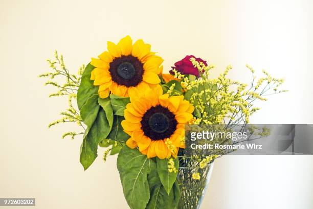 two sunflower heads in a glass vase - girasol común fotografías e imágenes de stock
