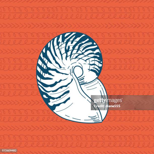 7,323 Red Shell Stock Photos, High-Res Pictures, and Images - Getty Images