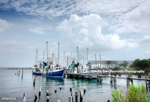 shrimp boats at dock - shrimp boat stockfoto's en -beelden