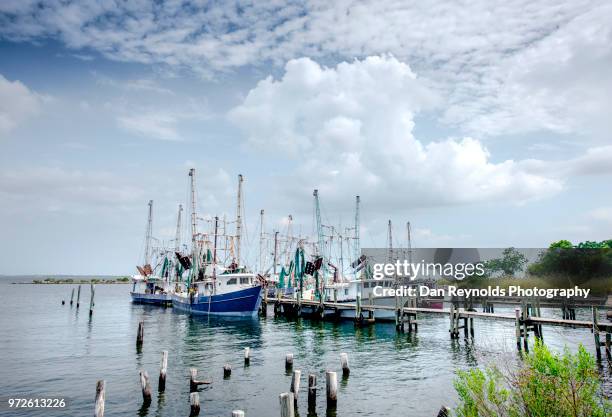 shrimp boats at dock - shrimp boat stock pictures, royalty-free photos & images